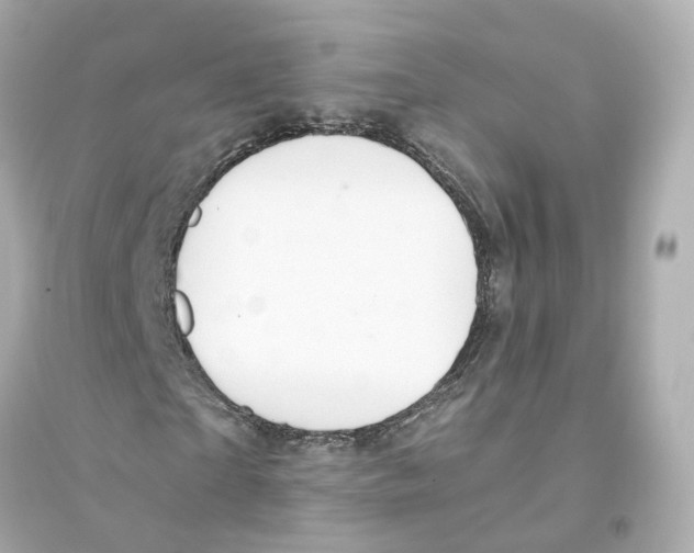 X0000093750865200711131123