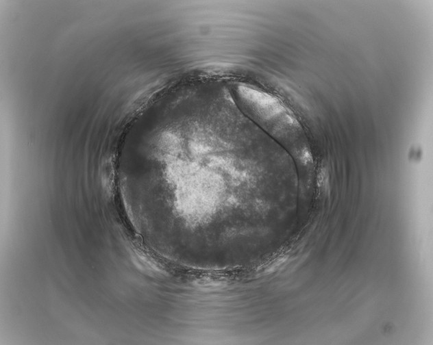 X0000093750868200711131123