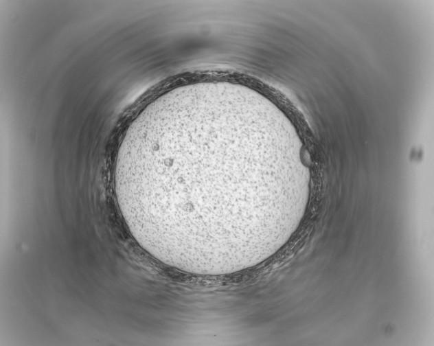 X0000093750871200711131123