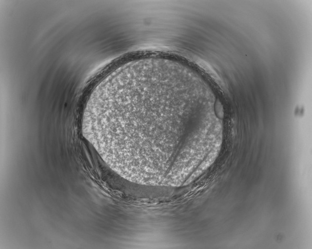 X0000093750872200711131123