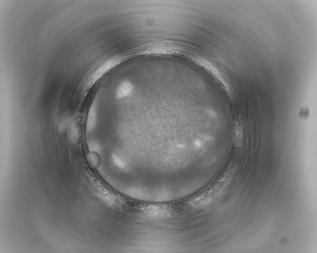 X0000093750874200711131123