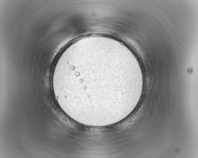 X0000093750875200711131123