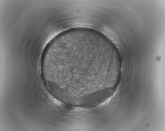 X0000093750877200711131123