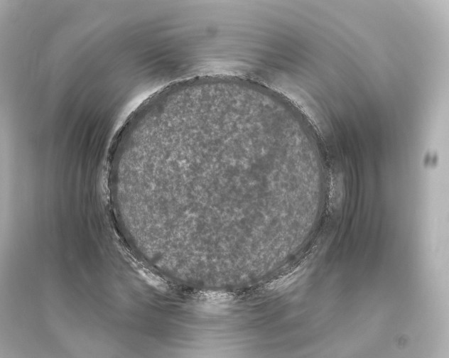 X0000093750878200711131123