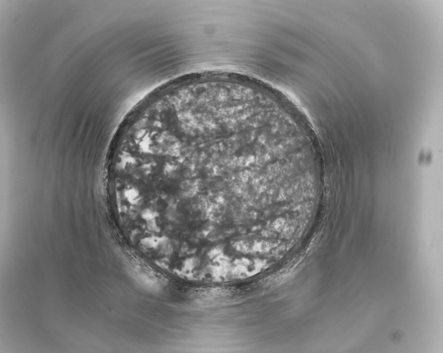 X0000093750879200711131123