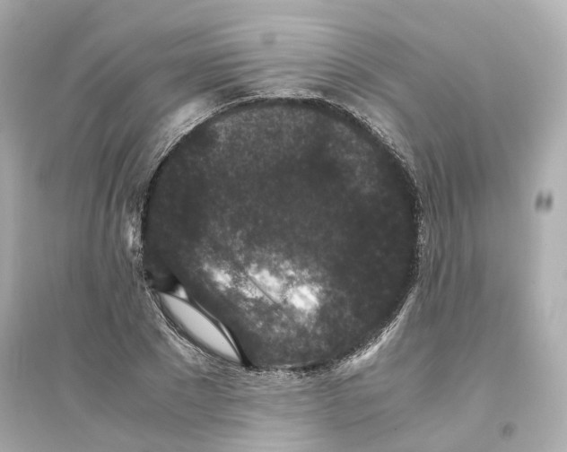 X0000093750881200711131123