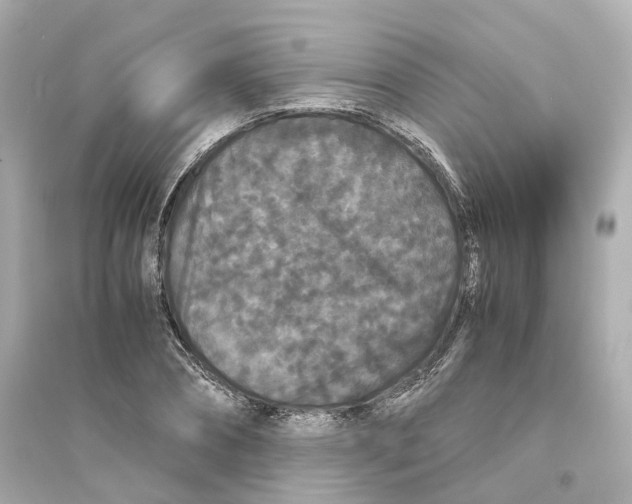 X0000093750882200711131123