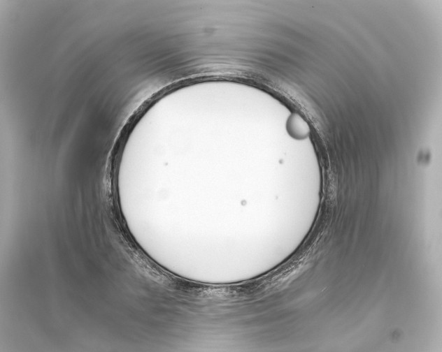 X0000093750883200711131123