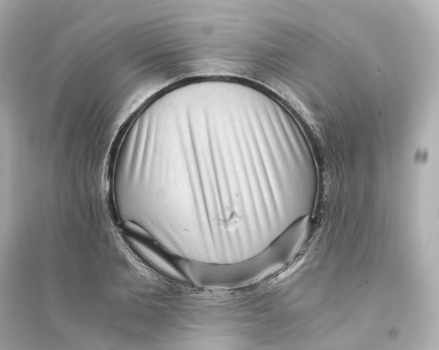 X0000093750885200711131123