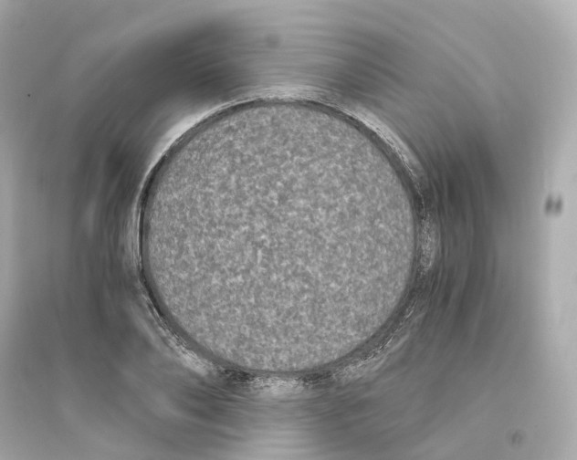 X0000093750886200711131123