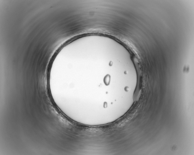 X0000093750888200711131123