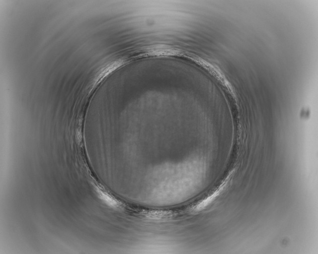 X0000093750889200711131123