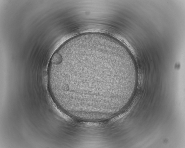 X0000093750890200711131123