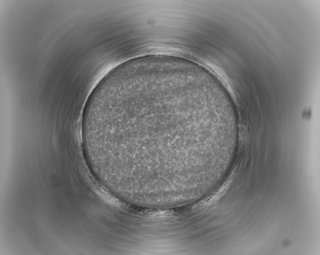 X0000093750891200711131123