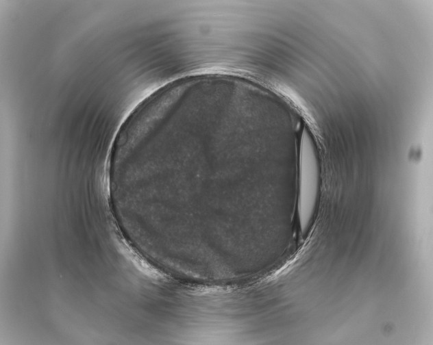 X0000093750892200711131123