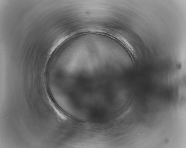 X0000093750893200711131123