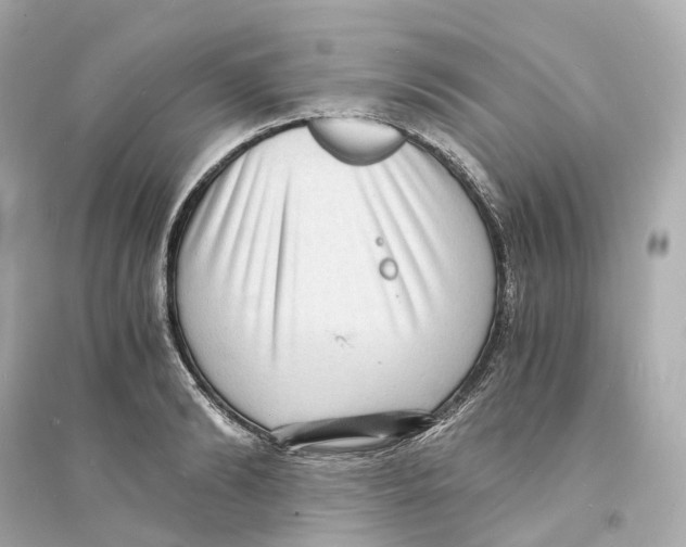 X0000093750894200711131122