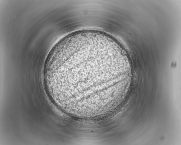 X0000093750895200711131122