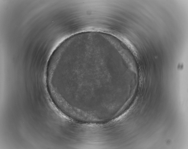 X0000093750896200711131122