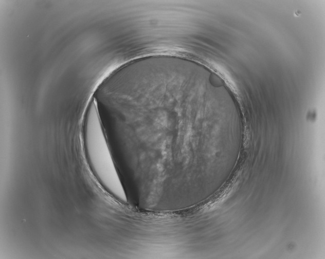 X0000093750899200711131122