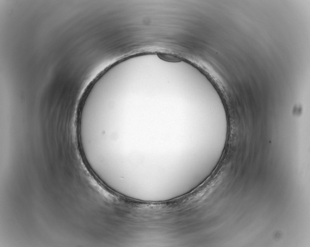 X0000093750902200711131122