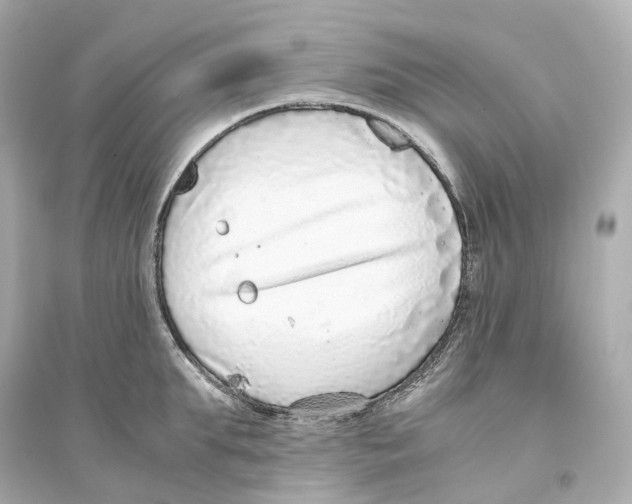 X0000093750903200711131122