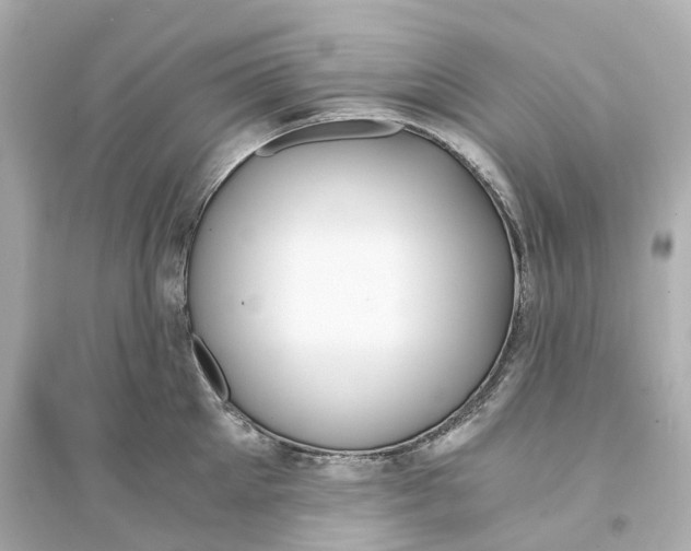 X0000093750905200711131122