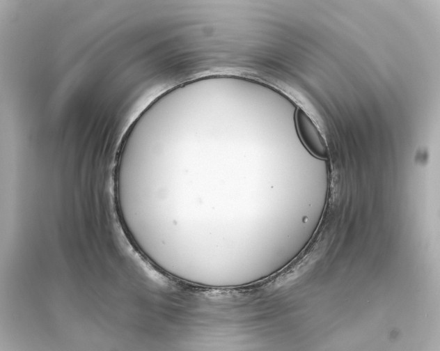 X0000093750906200711131122