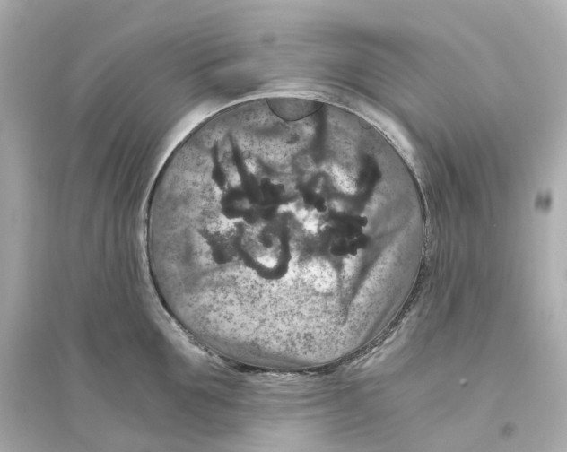 X0000093750907200711131122