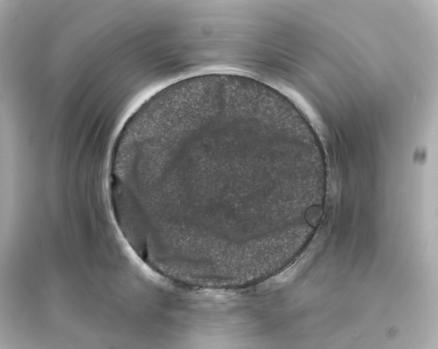 X0000093750910200711131122