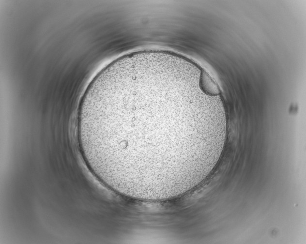 X0000093750911200711131122