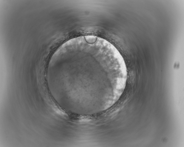 X0000093750913200711131121