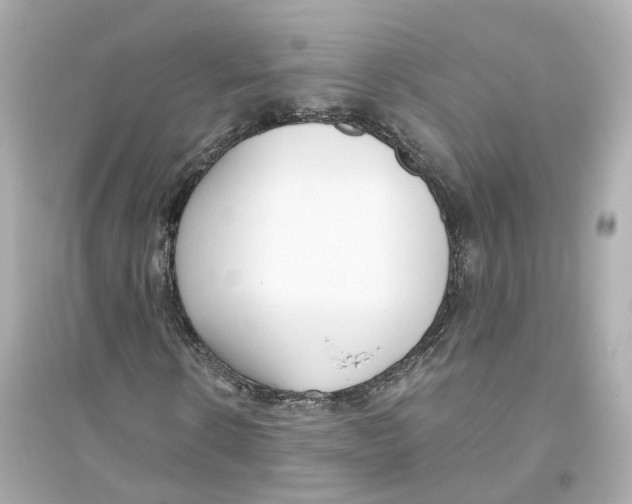 X0000093750914200711131121