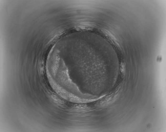 X0000093750915200711131121