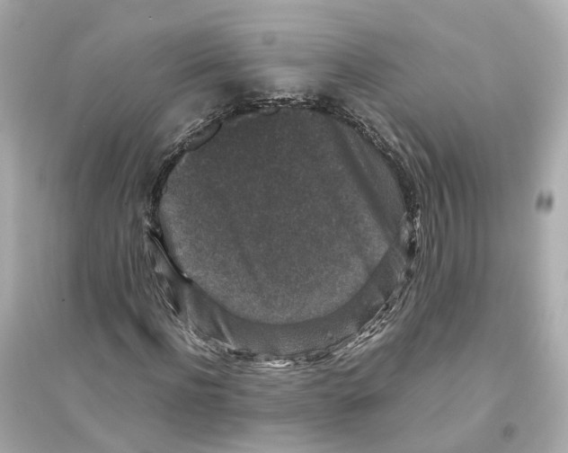 X0000093750916200711131121