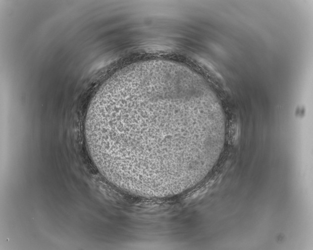 X0000093750917200711131121