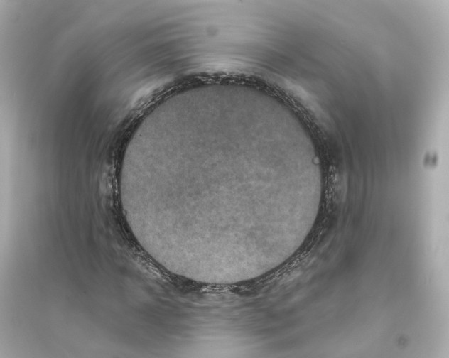 X0000093750918200711131121