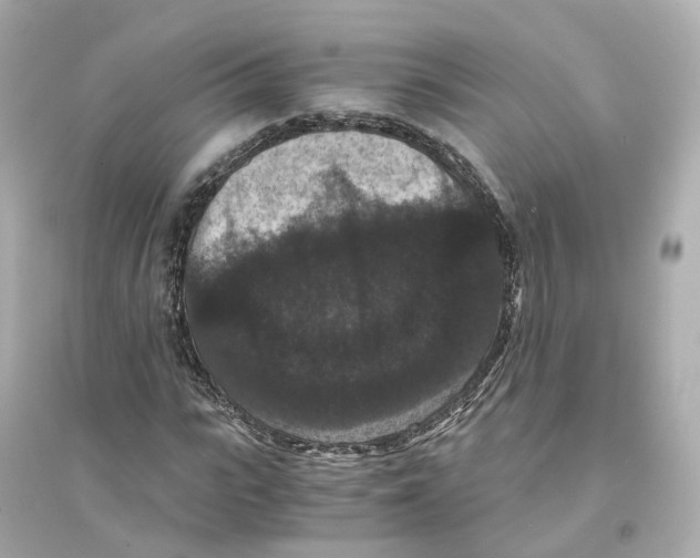 X0000093750919200711131121