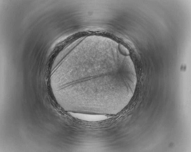 X0000093750920200711131122