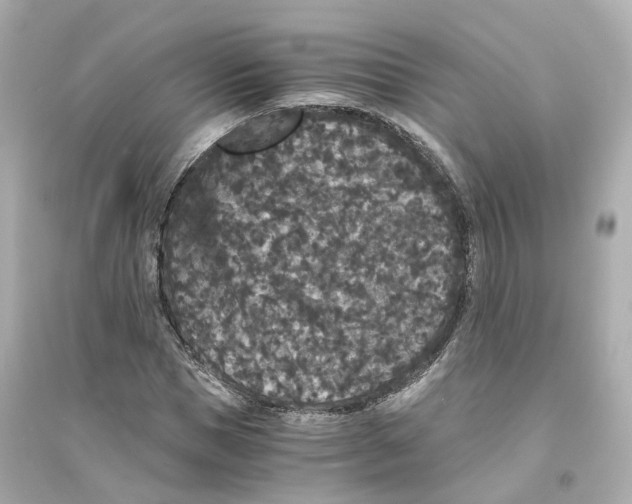 X0000093750921200711131122