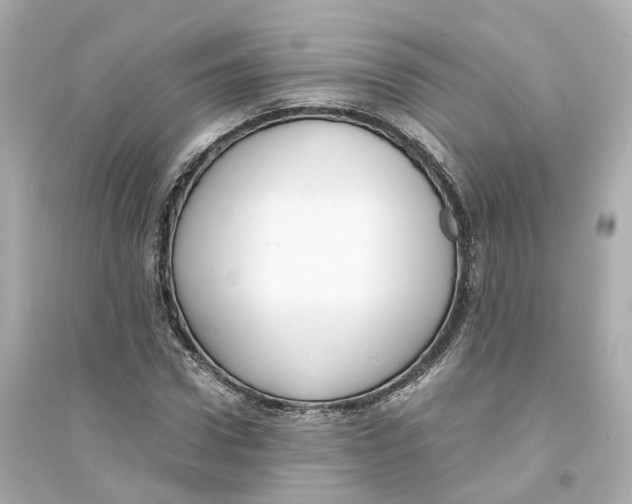 X0000093750922200711131122