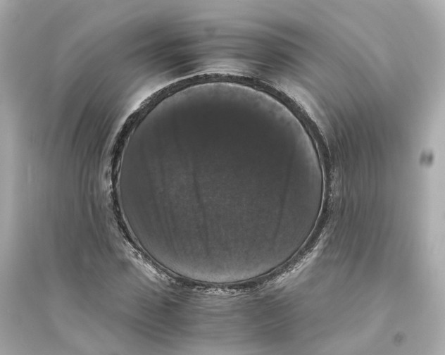 X0000093750923200711131122