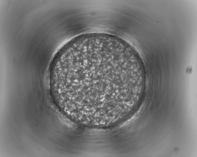 X0000093750925200711131122