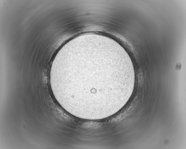 X0000093750929200711131122