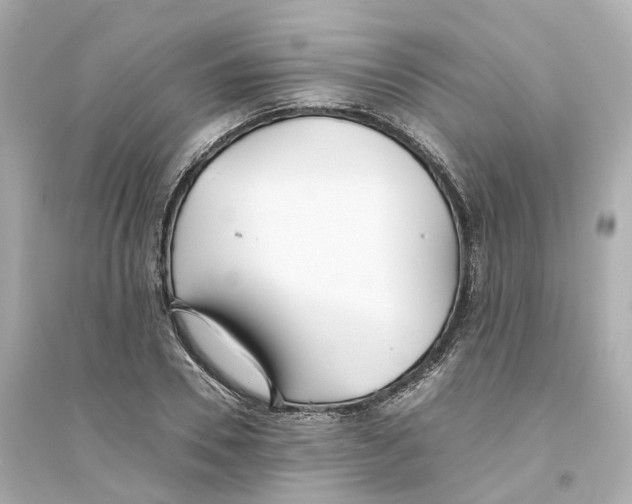 X0000093750930200711131122