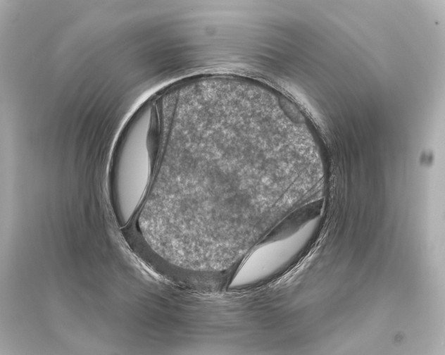 X0000093750932200711131122