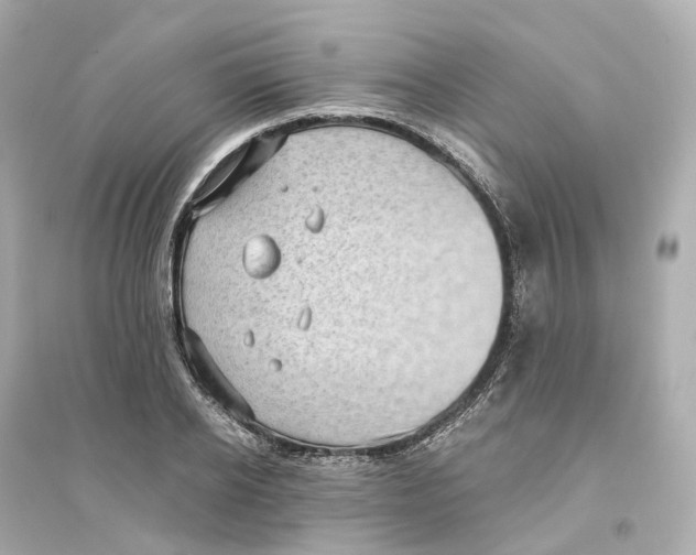 X0000093750934200711131122