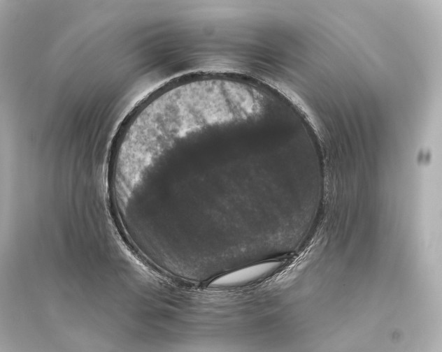 X0000093750935200711131122