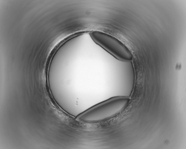 X0000093750936200711131122