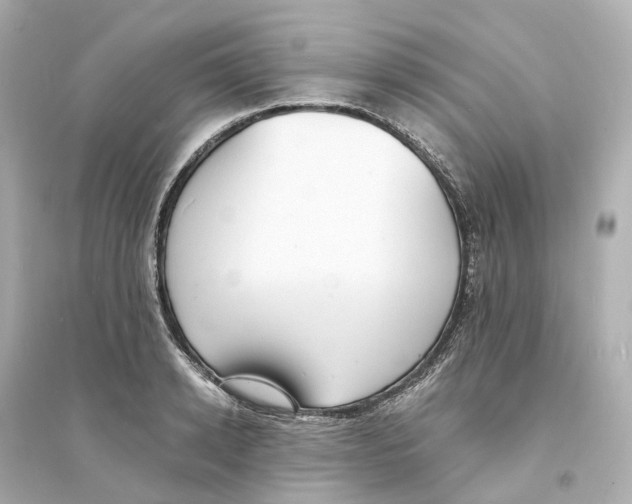 X0000093750942200711131122